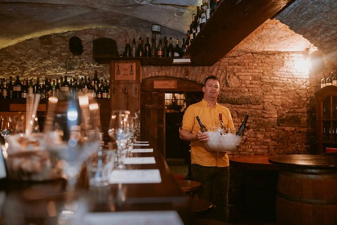2-Hour Interactive Wine Tasting Experience in Ljubljana - Price and Value: Is $72.59 Worth It?