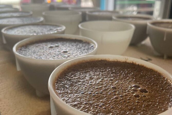 2-Hour Specialty Coffee tasting in Ljubljana - Key things that make this tasting worth your time