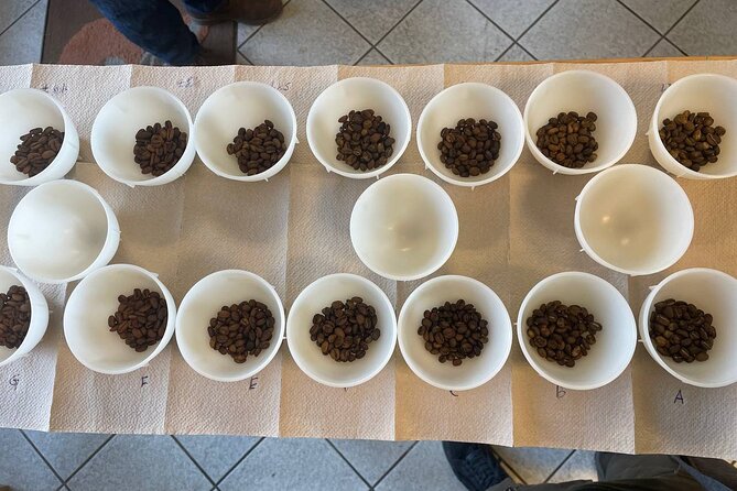2-Hour Specialty Coffee tasting in Ljubljana - Meet the SCA trainer and Slovene cup-tasting champion