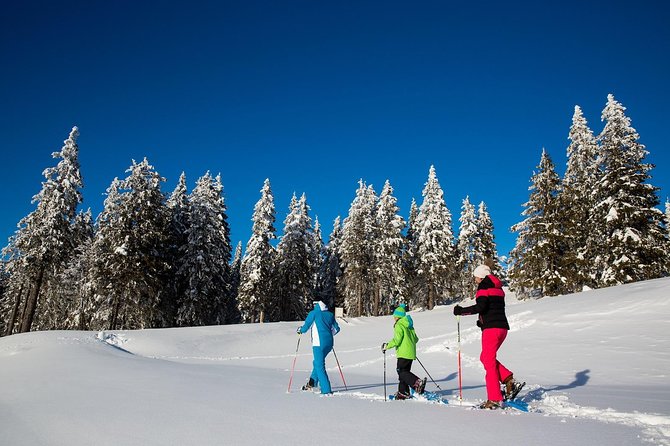 3-Hour Guided Snowshoeing Adventure in the Slovenian Alps - Key Highlights You’ll Care About