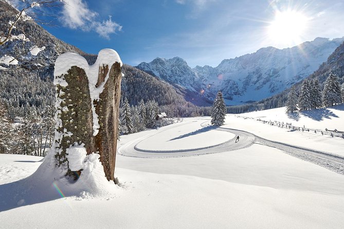 3-Hour Guided Snowshoeing Adventure in the Slovenian Alps - Bled to the Snow: How Pickup Shapes the Day