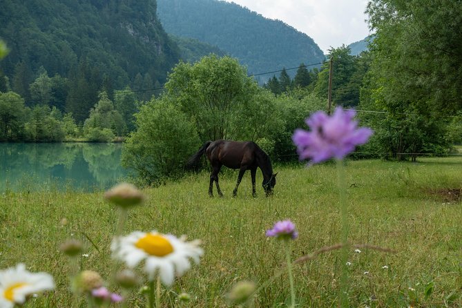 7 Alpine Wonders- Day Tour Bled, Soca valley, Slovenia - Why Bled is the smart launch point for Triglav-area highlights
