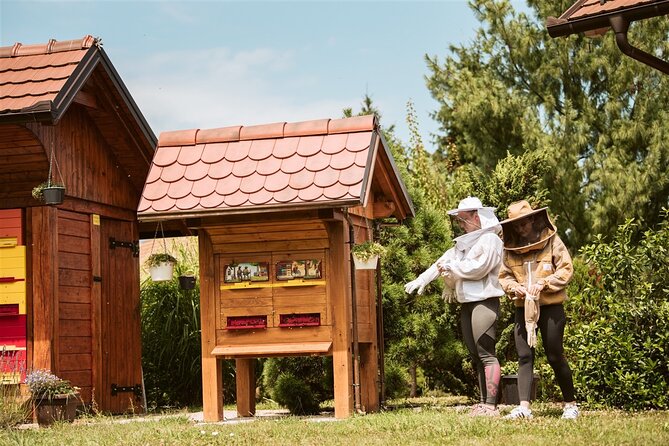 All About Bees Tour from Ljubljana - Meeting the beekeeper: the part you will remember