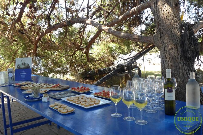 An Unforgettable Day With Fish, Wine and Olive Oil Tasting - Timing, Pickup, And The Group-Size Reality Check