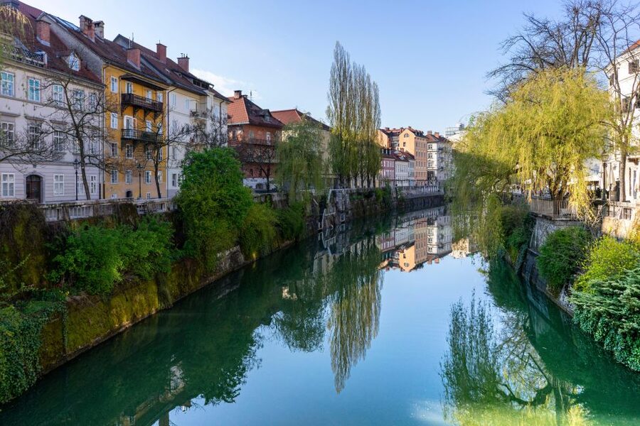 Best of Ljubljana: Private tour with Ljubljana born guide - Town Hall: The Private-Access Moment You Actually Remember