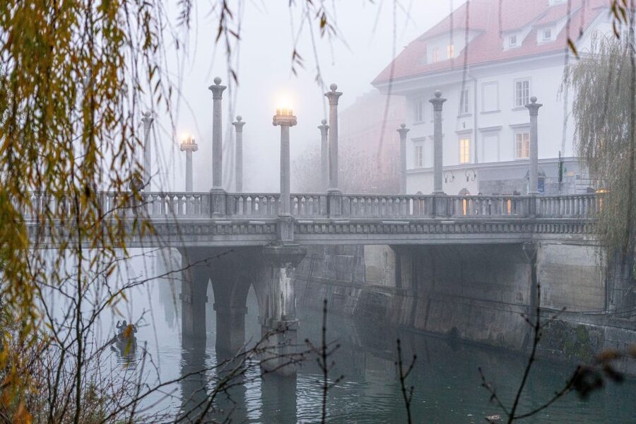 Best of Ljubljana: Private tour with Ljubljana born guide - Pickup in Central Ljubljana, and the One Logistics Watch-Out