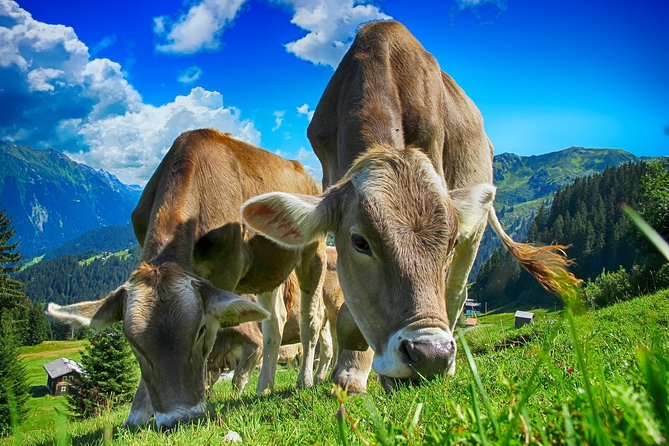 Bled & Bohinj Lakes,Alpine Fairytale with Triglav National Park panoramic drives - Traditional Homes, Rural Farms, and the Stuff That Makes It Feel Local