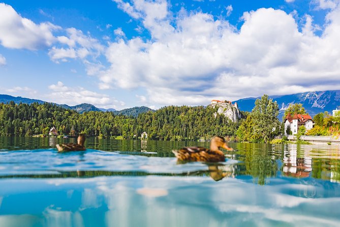 Bled & Bohinj lakes with Skofja Loka | Private trip from Ljubljana - Skofja Loka with a local tourist info stop, not just a quick drive-by