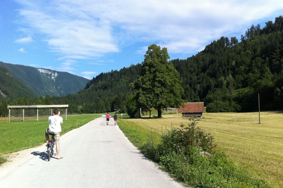 Bled: Mountain Bike Rental - Bled Mountain Bike Rental: Why This Works So Well for Lake Bled Freedom