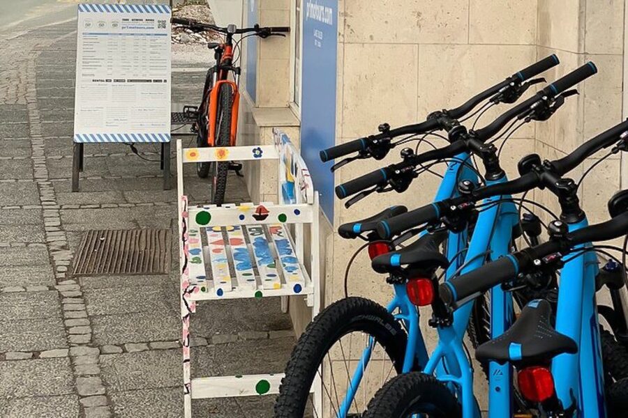 Bled: Mountain Bike Rental - Who Should Rent This Bike, and Who Should Skip It