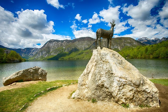 Bled to Lake Bohinj Trip - Pokljuka Plateau stops: where the day slows down