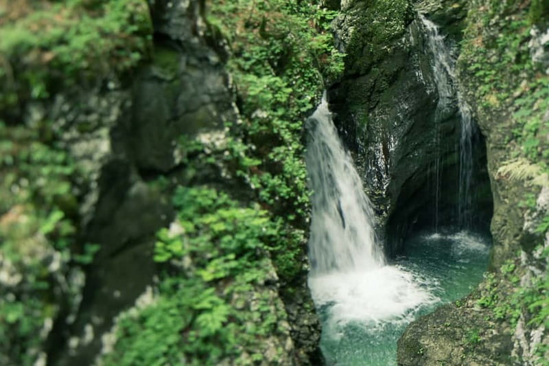 Bled: Triglav National Park Canyoning Adventure with Photos - The canyon time: slides, jumps, and abseiling in Grmecica or Jereka