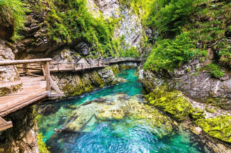 Bled: Vintgar Gorge Best Experience and Food Tasting - Key highlights you will actually feel