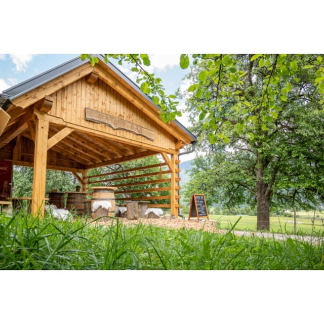 Bled: Vintgar Gorge Best Experience and Food Tasting - Natour Bar Štruklji tasting with craft beer or apple juice