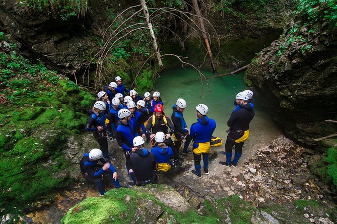 Canyoning Lake Bled Slovenia - Free Photos and Videos - The forest hike and first climb: where confidence is built