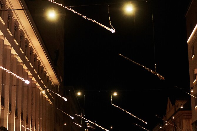 Christmas Markets of Ljubljana Half Day tour from Piran or Koper - Your driver-guide experience: small van, real people, and practical help