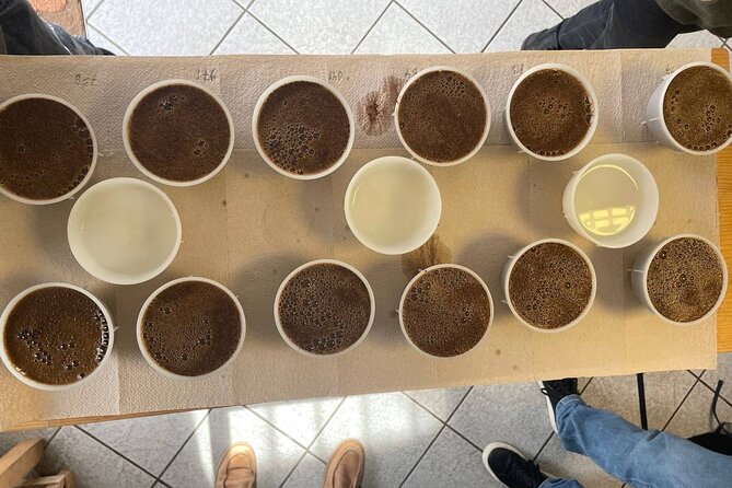Coffee Sensory Training in Ljubljana - The CSP Sensory Skills Foundation: what you are aiming for