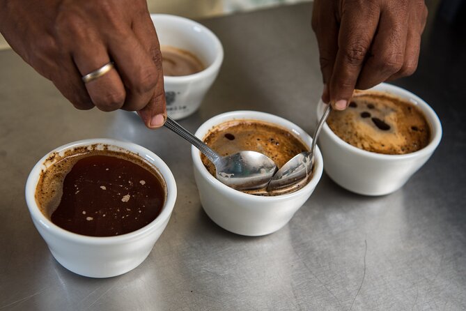 Coffee Tasting Experience - Brewing lessons you can use at home, not just admire