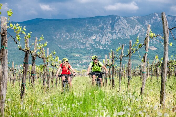 E-Bike Rental in South-West Slovenia - Planning a one-day ride in Vipava Valley: roads, gravel, and a climb to Štanjel