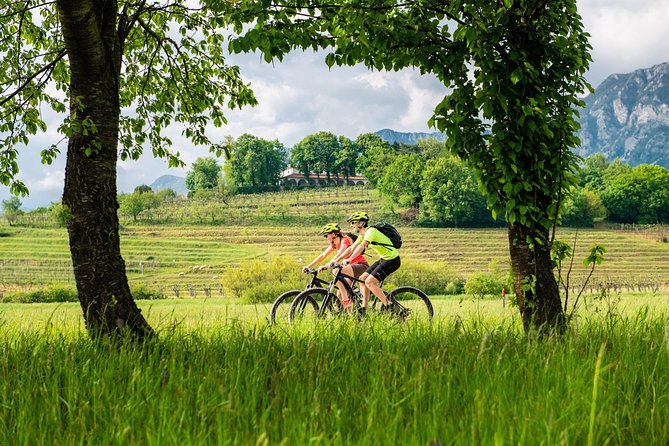 E-bike Vipava River Tour - Why the Vipava Valley river ride feels different from a typical bike tour