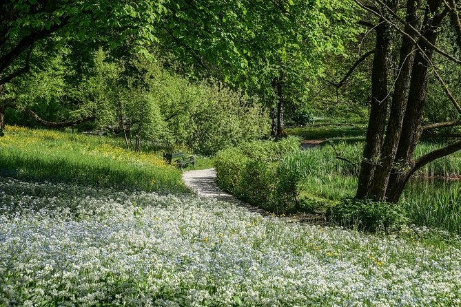 Exploring Ljubljana by Bicycle - Pace and Group Size: The Comfort Factor on a Short Tour
