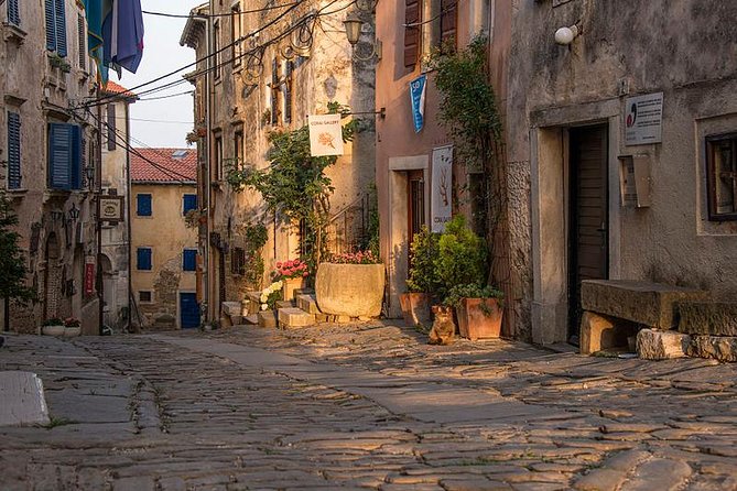 Flavours of Istria Tasting Experience from Koper - Price and value: why $132.65 can work for food lovers