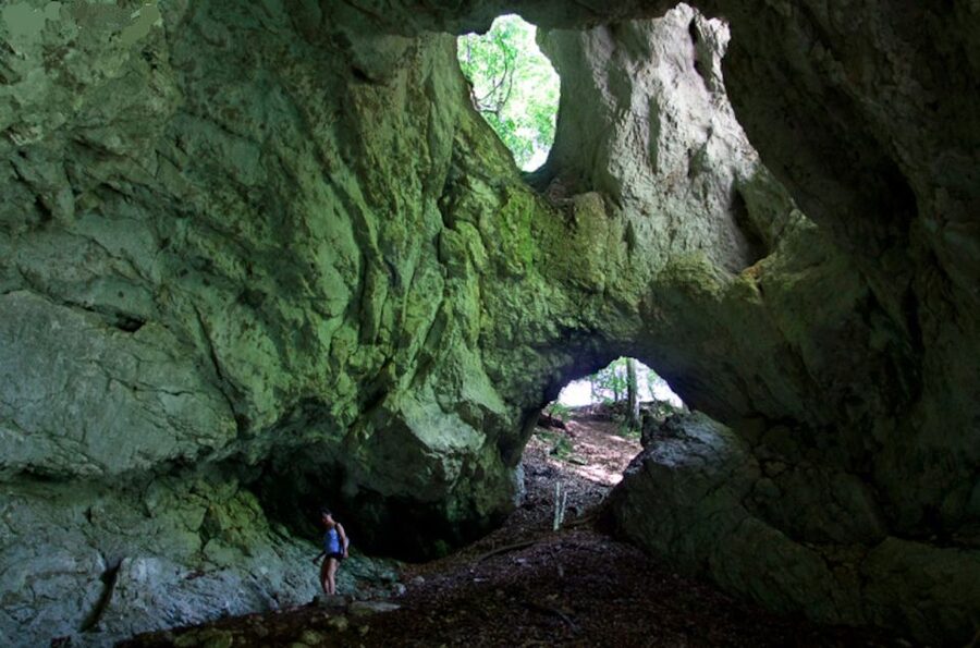 From Bled: Half-Day Pokljuka Gorge Trail Hike (Private) - Key Highlights You Will Actually Feel on the Trail
