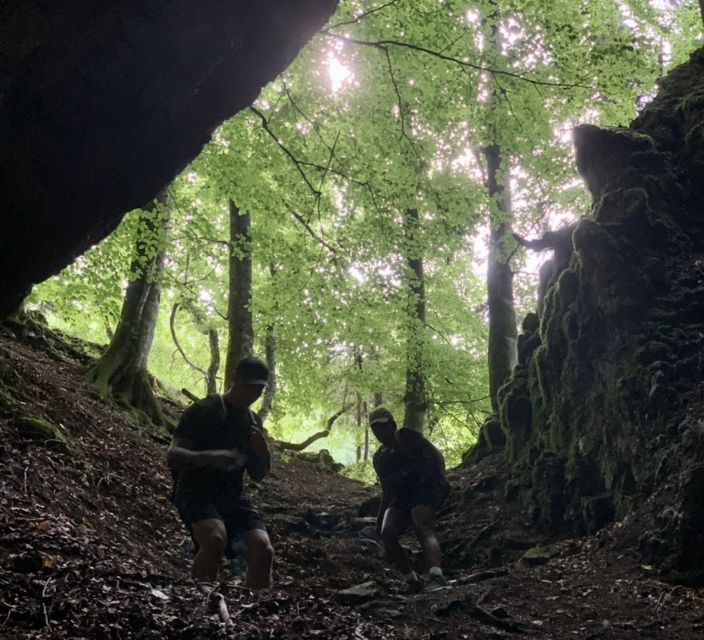 From Bled: Half-Day Pokljuka Gorge Trail Hike (Private) - Pokljuka Discovery Trail, Close Enough for a Half-Day