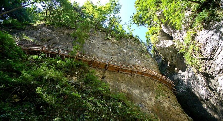 From Bled: Half-Day Pokljuka Gorge Trail Hike (Private) - The Trail in Real Order: Gorge, Streams, Passages, Forest, Views