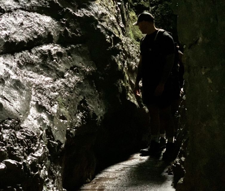 From Bled: Half-Day Pokljuka Gorge Trail Hike (Private) - Who This Hike Suits Best