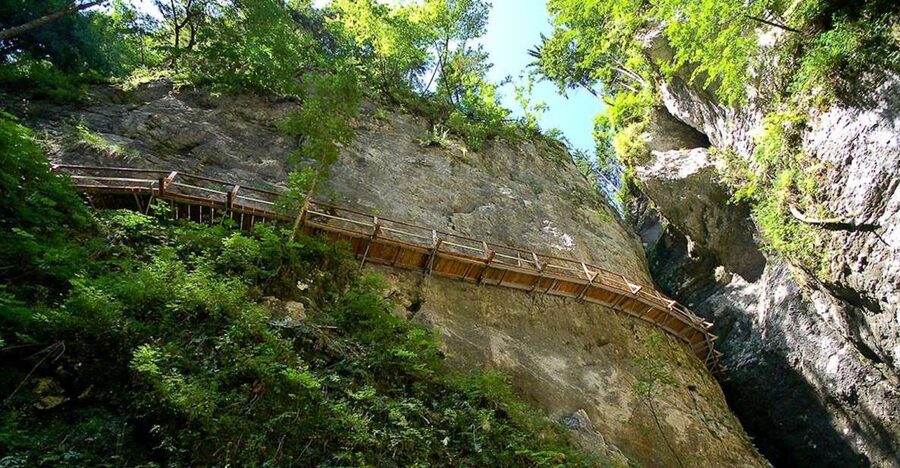 From Bled: Half-Day Pokljuka Gorge Trail Hike (Private) - Why a Private Guide Changes Everything