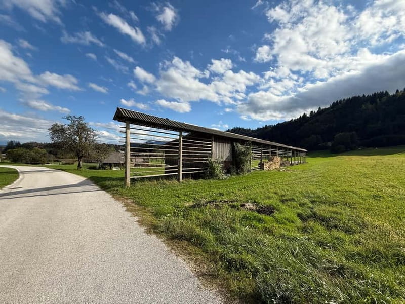 From Bled: Self Guided E-Bike Trip to Triglav National Park - Following the Radovna River: the best part of the ride is the pacing