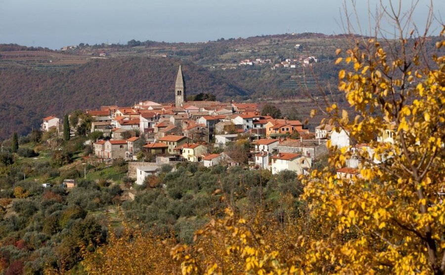 From Koper: Piran Riviera & Local Flavors - Key things to know before you go