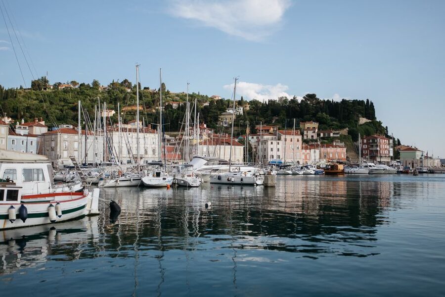 From Koper: Piran Riviera & Local Flavors - Padna countryside stop: Istrian food, local wine, and market views