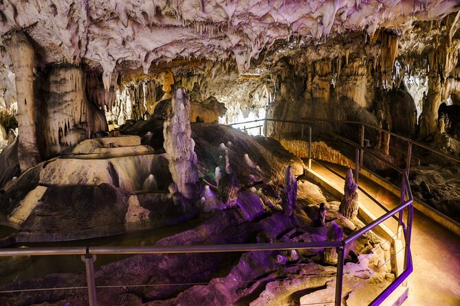 From Koper Postojna Cave and Ljubljana Day Tour - Postojna Cave: how the underground train sets your expectations