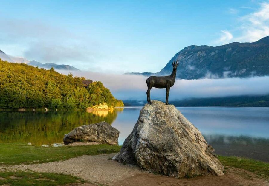 From Ljubljana: Bled & Bohinj Day Trip + Local Picnic Treat - Key Highlights You Will Actually Feel