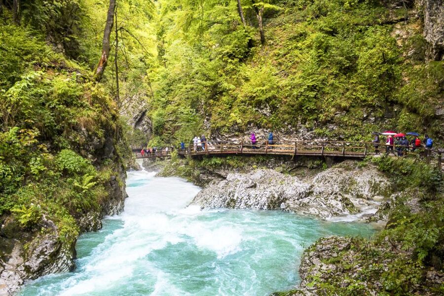 From Ljubljana: Day Trip to Bled and Vintgar Gorge - Lake Bohinj in Triglav National Park: Cool Water and Breathing Room