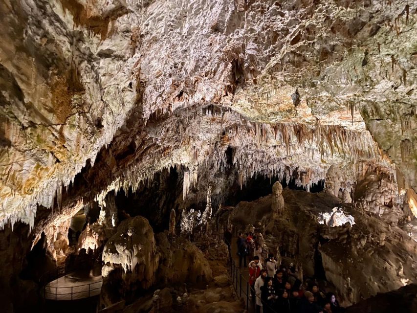 From Ljubljana: Postojna Cave Day Trip - Entering the cave network: guided route plus included train ride