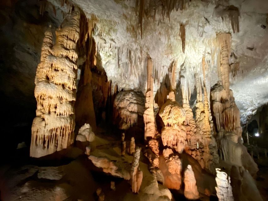 From Ljubljana: Postojna Cave Day Trip - Private driver logistics: convenience, but confirm your day stays on track