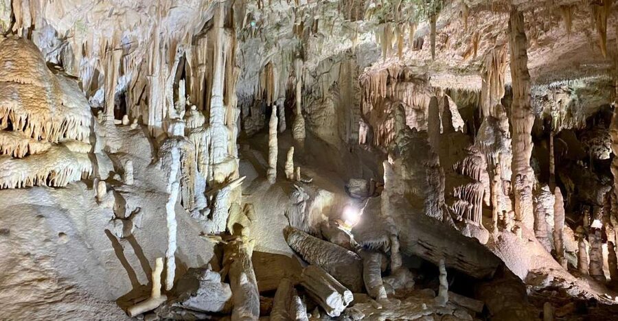 From Ljubljana: Postojna Cave Day Trip - Pickup at 8:30 AM, back by 1 PM: the timing you should plan for