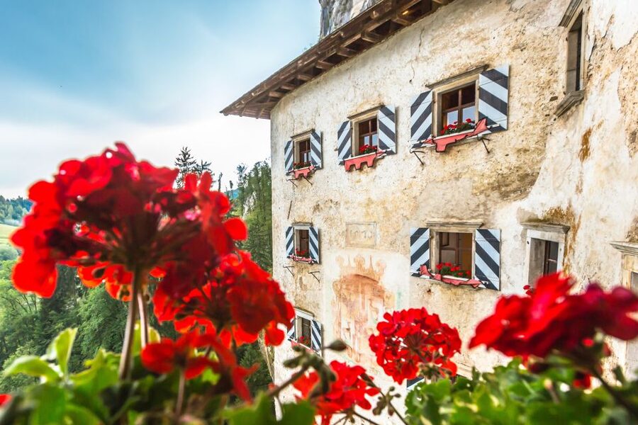 From Ljubljana: Postojna Cave, Predjama Castle and Lake Bled - Pickup and timing: know your start time and ride comfort