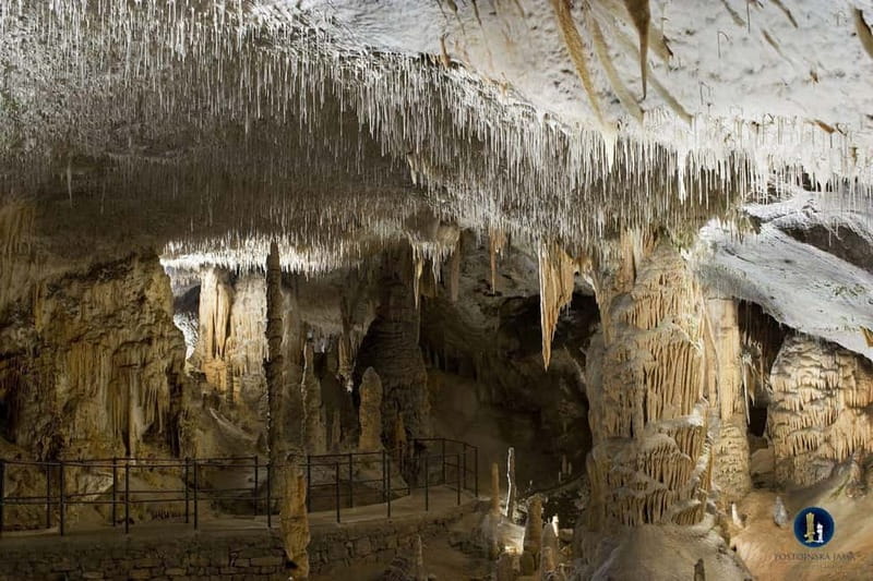 From Ljubljana: Postojna Cave, Predjama Castle, & Piran Tour - Meet the Van in Ljubljana and Get a Smooth Start