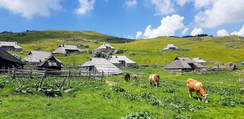 From Ljubljana: Velika Planina Guided Hike - Key things to notice before you go