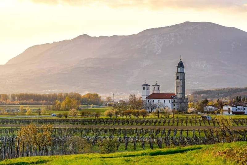From Ljubljana: Vipava Valley Wine Express Tour - Key highlights worth getting excited about