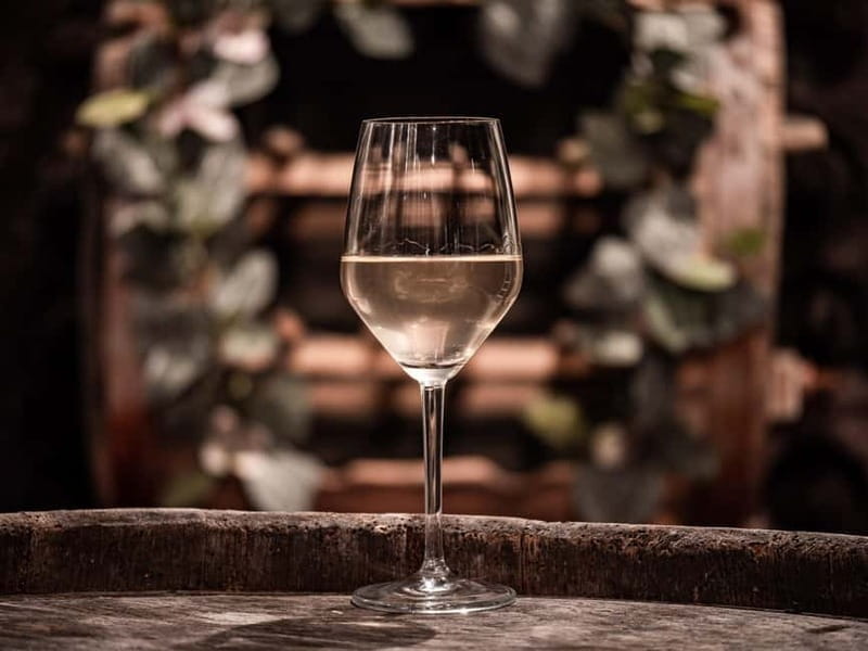 From Ljubljana: Vipava Valley Wine Express Tour - The wine tasting set: seven samples plus pairings