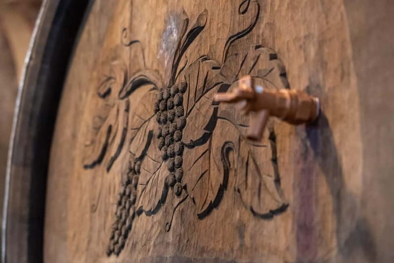 From Ljubljana: Vipava Valley Wine Express Tour - Price and value: is $105 a good deal for this format?