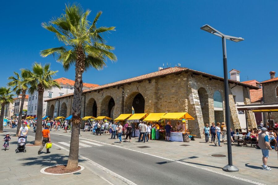 From Trieste: Piran and Slovenia Coast Tour - Key Points You’ll Care About