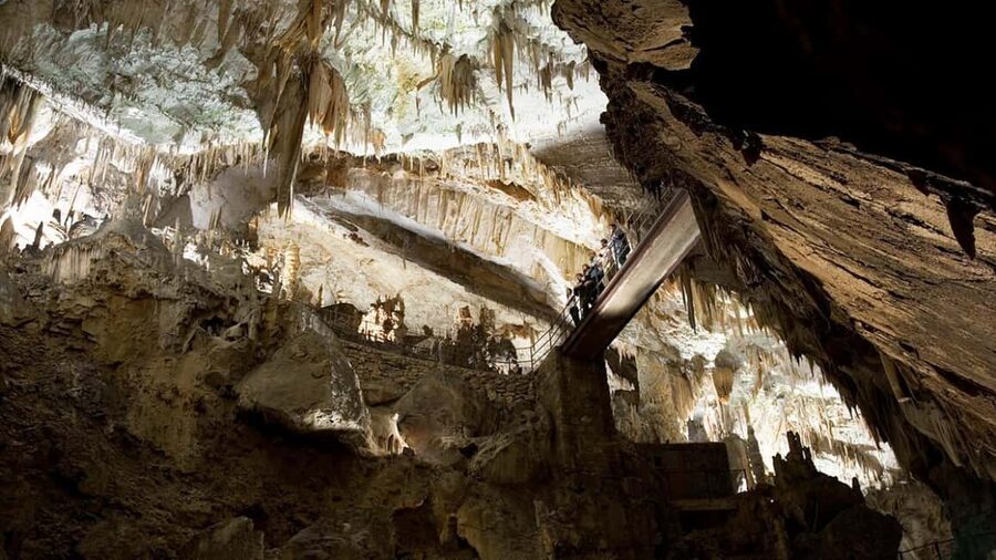 From Trieste: Postojna Cave & Predjama Castle Tour - Who this tour fits best in your travel style