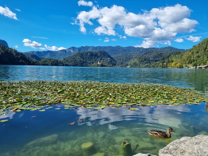 From Zagreb: Highlights Day Tour to Bled and Ljubljana - Bled Castle first: museum, viewpoints, and the best kind of photos