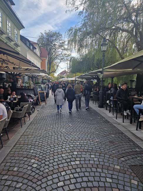 From Zagreb: Ljubljana and Lake Bled Private Day Tour - Key Points to Know Before You Go